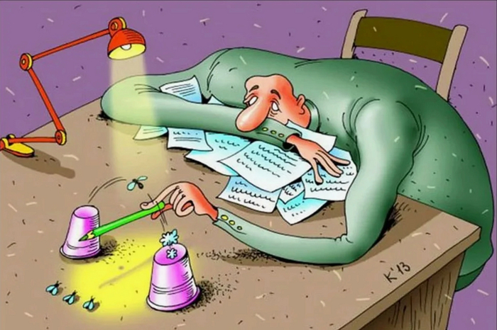 ������ �29. �������