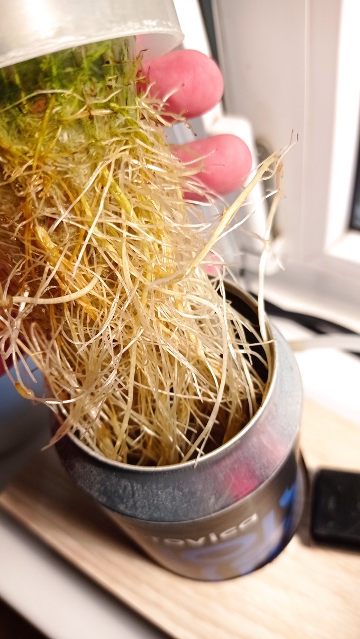 ������ � ������������ ����� ������. ���� �� ���������, �� ��������