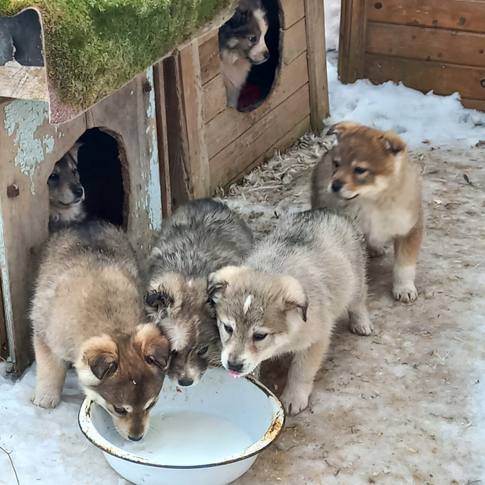 ������� ������ ����� ��� ��� ����������