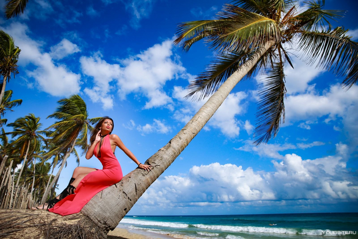 Почему находясь на том же самом острове, Доминикана богатеет, а Гаити загибается в нищете? Яндекс Дзен, Гаити, Доминикана, Длиннопост, Яндекс Дзен (ссылка), Фотография