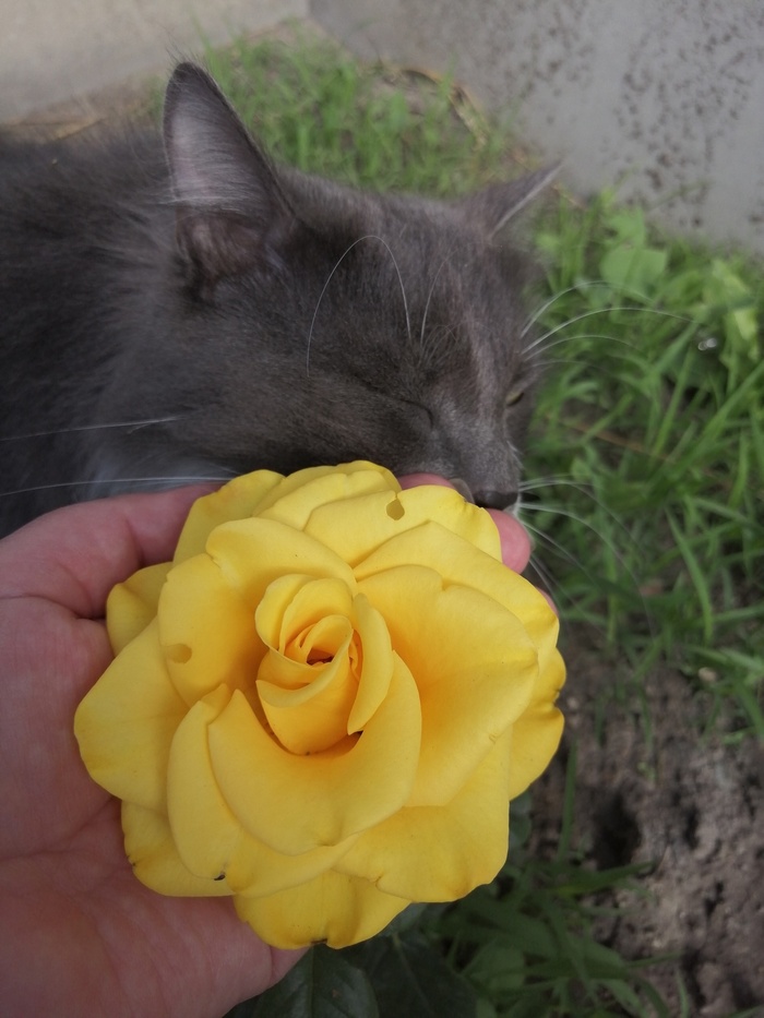 ��� ����� ������� ������ ���� �����.