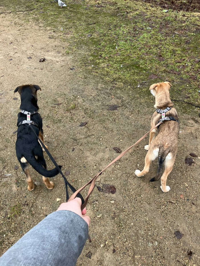 Ребята на прогулке