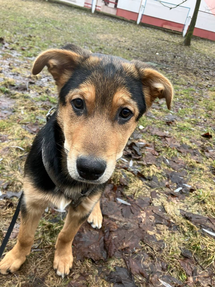 Брюс крупным планом