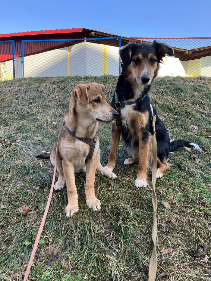 ���� � ������� �����