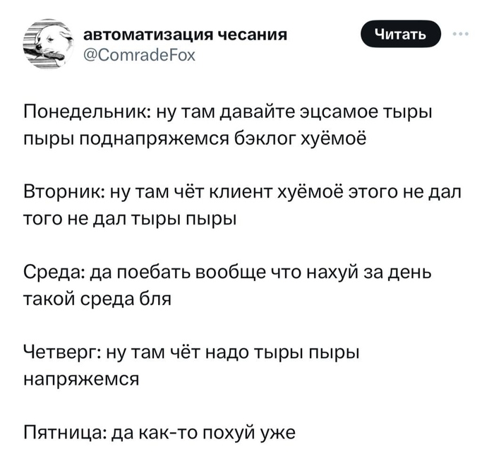     X (Twitter), , IT, 