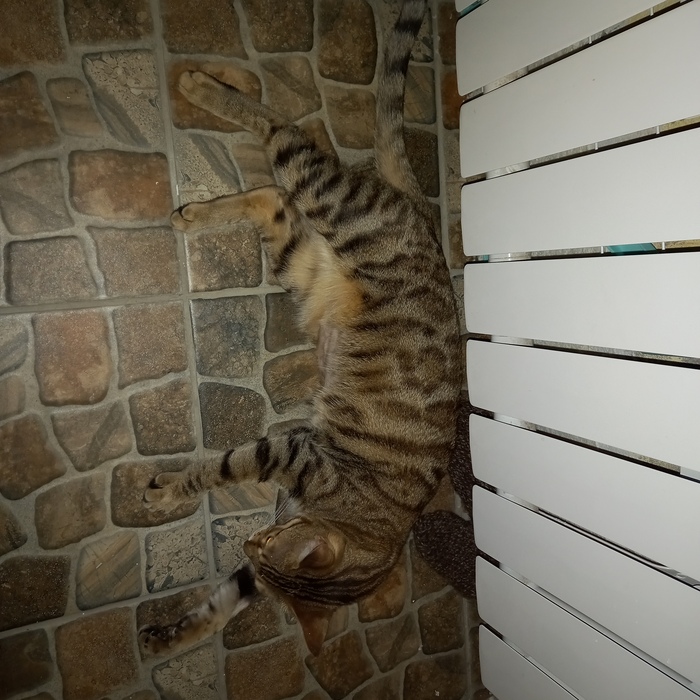 "      . ,  .      ,  !"