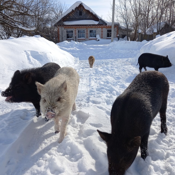 ,   .    . , . ,  .     !