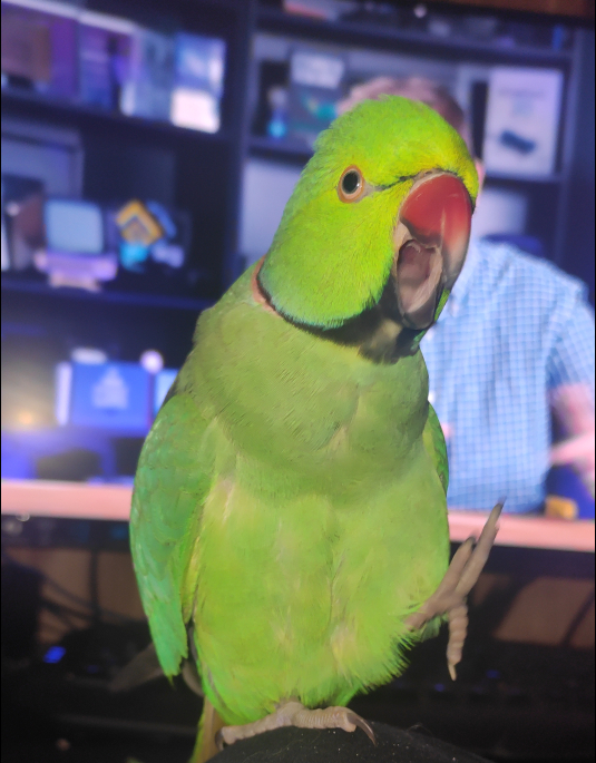 ��������