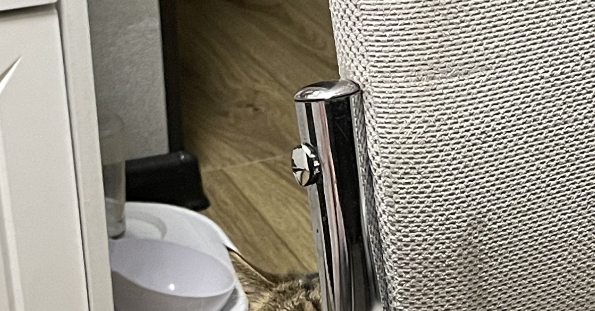 Пустая миска | Пикабу