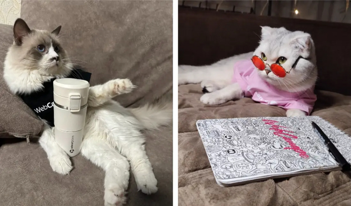 �� � ��� ����?