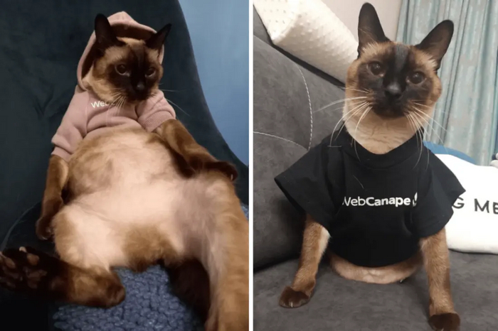 ����� �����, ��� ���� ���������� �� ��������