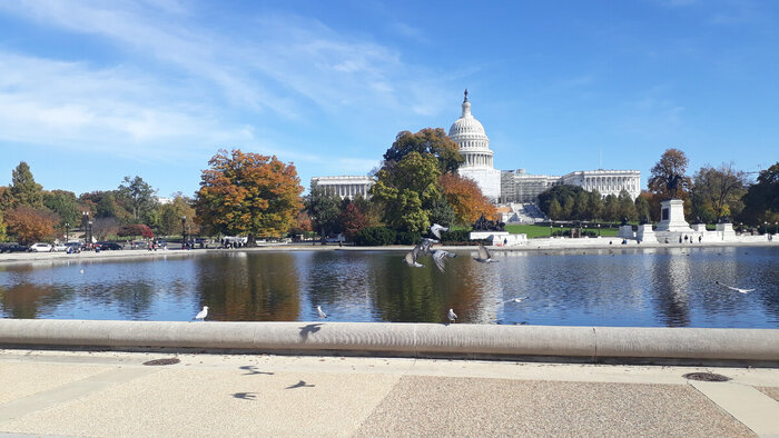 Капитолий (United States Capitol) – местопребывание Конгресса США