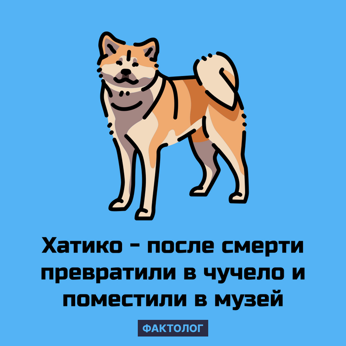  , , , Telegram (), ,   
