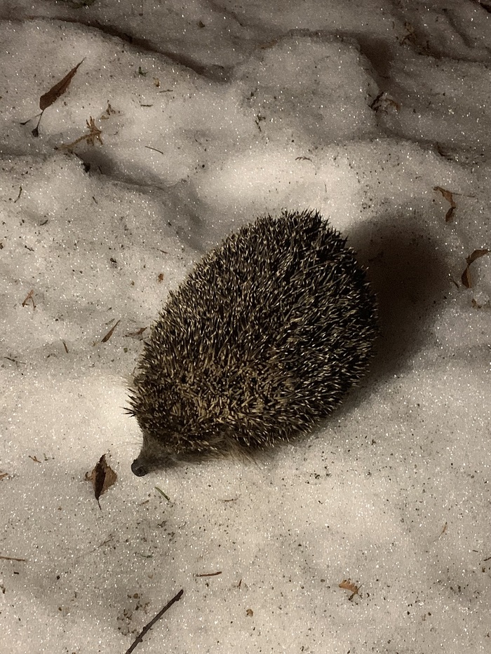 ����� �� ������