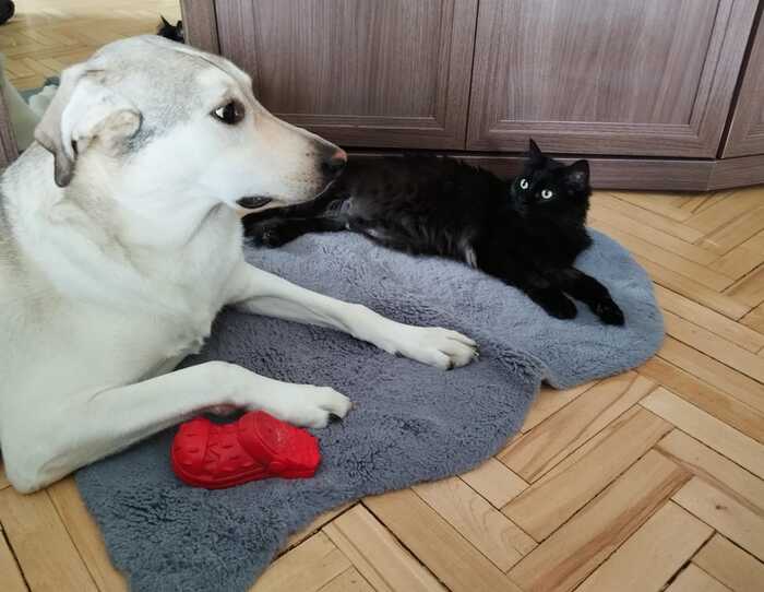 ��� ���� ���� � ����� �����