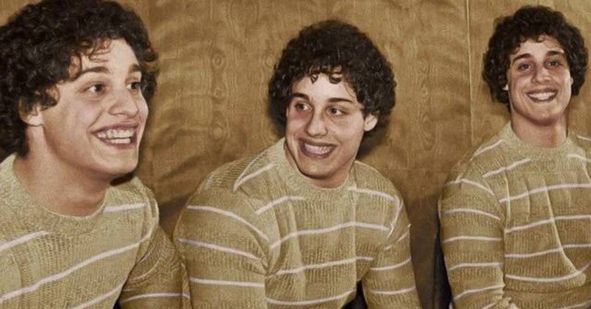 Метод частично разлученных близнецов. Джим льюис. Разлученные близнецы. Джим льюис и джим спрингер. Разлученные близнецы.