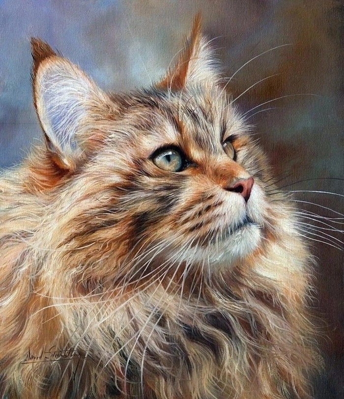 ,  , 