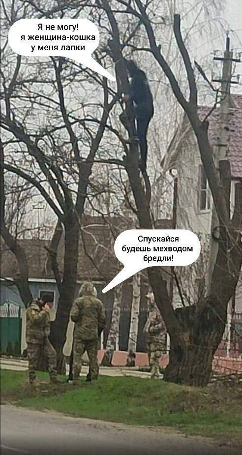 СВО: истории из жизни, советы, новости, юмор и картинки — Горячее | Пикабу
