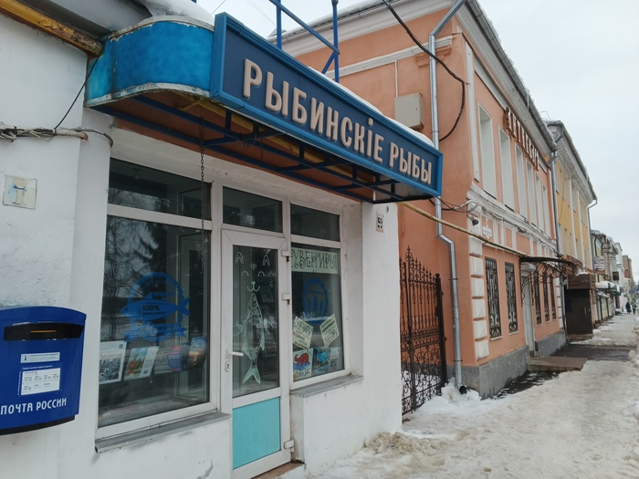 Экскурсия Позитив, Юмор, Картинка с текстом, Грустный юмор, Длиннопост, Рыбинск Экскурсия Позитив, Юмор, Картинка с текстом, Грустный юмор, Длиннопост, Рыбинск