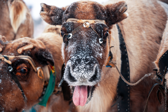 ��������� ����� ��� � �����