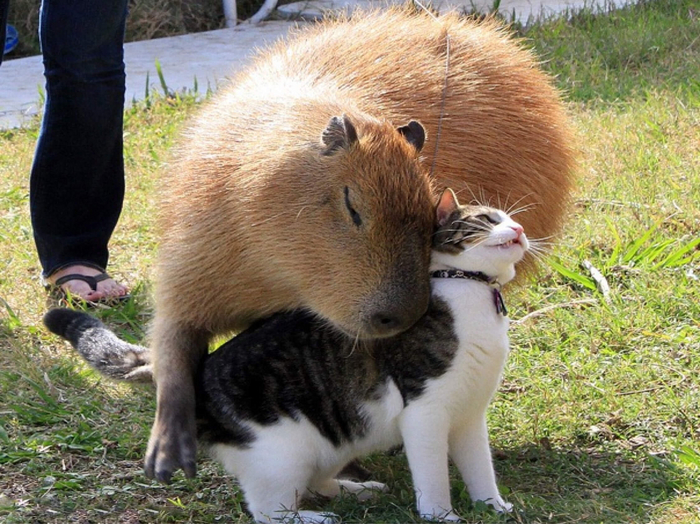 Зачем топтаться? Лучше давайте обниматься!