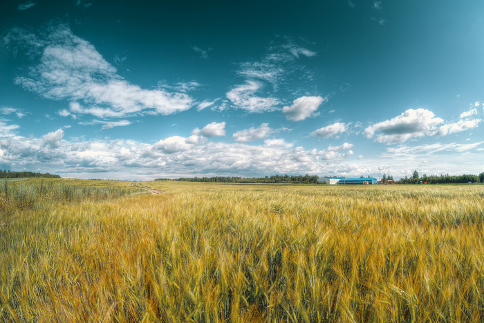 Продолжаем велопокатушки по полям и лугам :)