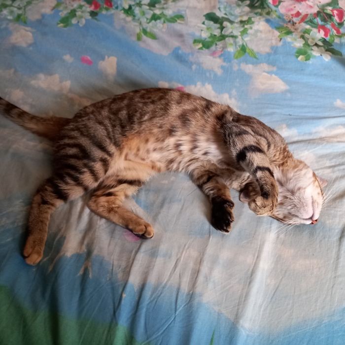 ...���� �� ������: � "�����" � �������� �����... �����!