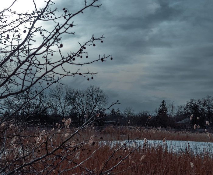 ...  ,     -     .     .