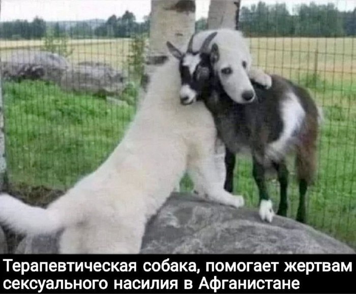 Жертвы насилия