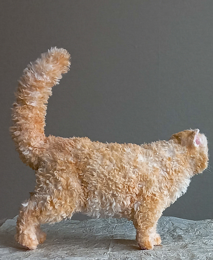 Полностью подвижен.