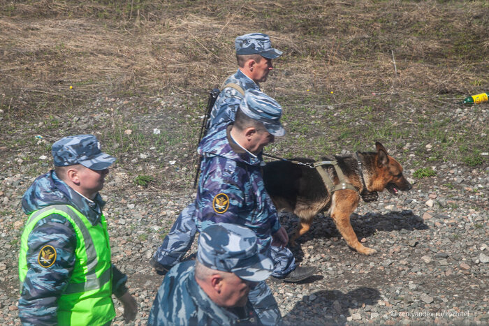 Вагонзак. Железнодорожный вагон специального назначения Железная дорога, Вагон, Заключенные, Тюрьма, Поезд, Путешествия, РЖД, Длиннопост
