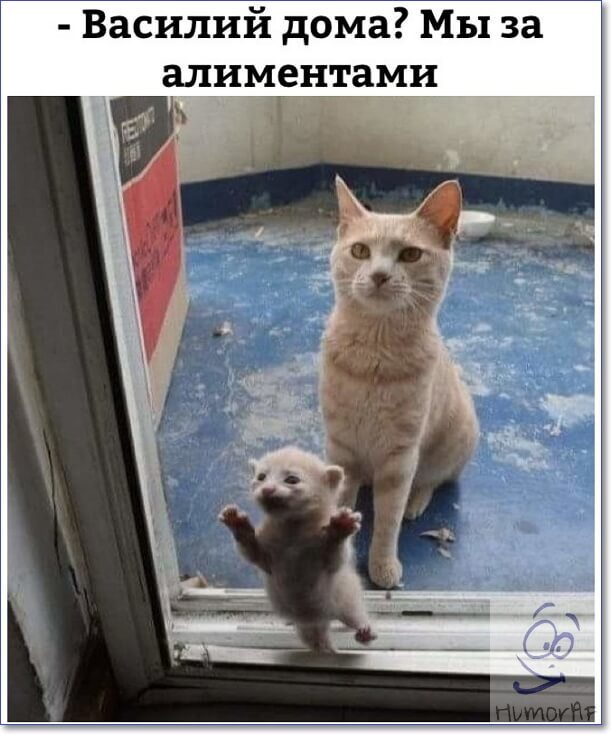 Папаня-а-а...