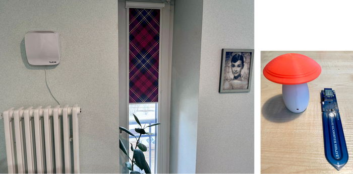 Умная штора, приточка воздуха и датчик Zigbee для фикуса