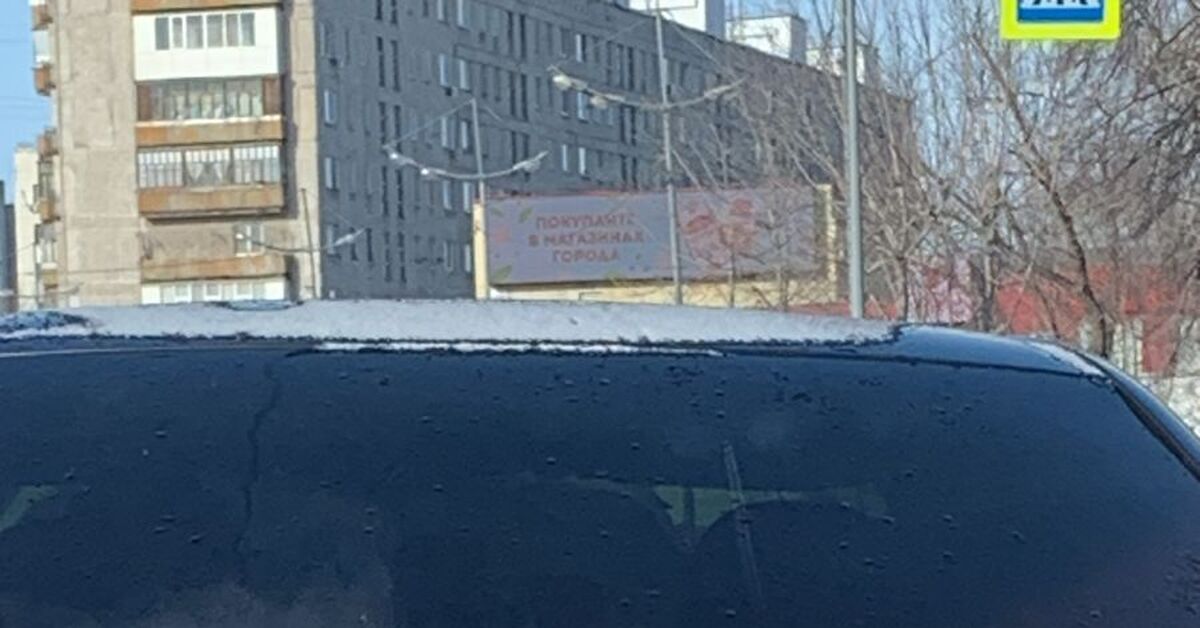 Большой брат следит за тобой | Пикабу