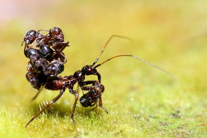Время собирать урожай.