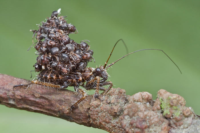 Я просто ношу все свои заслуги с собой.