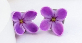 Пусеты, например