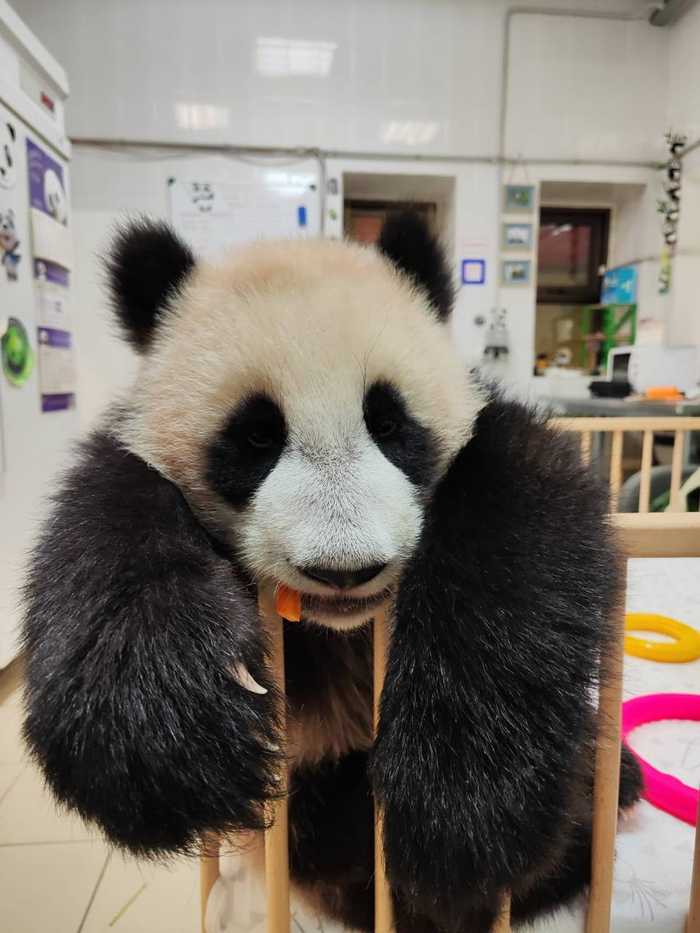   : <a href="https://pikabu.ru/story/morkovka_takaya_vkusnaya_11201522?u=https%3A%2F%2Fpikabu.ru%2Fstory%2Fnovost_dnya_11201397%3Futm_source%3Dlinkshare%26utm_medium%3Dsharing&t=%D0%9D%D0%BE%D0%B2%D0%BE%D1%81%D1%82%D1%8C%20%D0%B4%D0%BD%D1%8F%3A&h=eaafe1a482845b6c61c73d728377c9863b49919b" title="https://pikabu.ru/story/novost_dnya_11201397?utm_source=linkshare&utm_medium=sharing" target="_blank"> :</a>