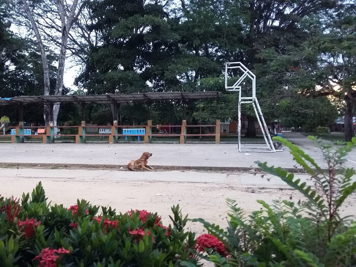  -   ,   .        .   ,   ,   ,  