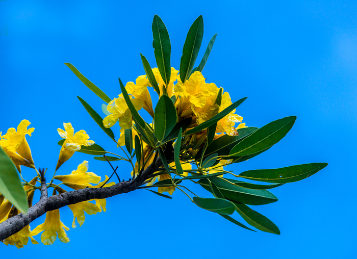 Психология восприятия. Новая личность и новые смыслы