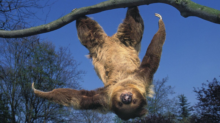 Да, мне так удобно. Спокойной ночи.