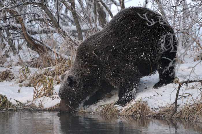 Так, водички я попил. На сегодня мои дела кончились.