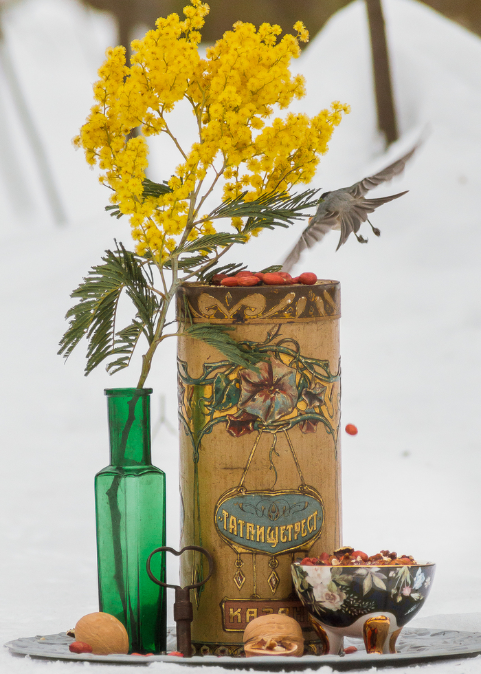 ������. ������ ���������� ������� ���� �������