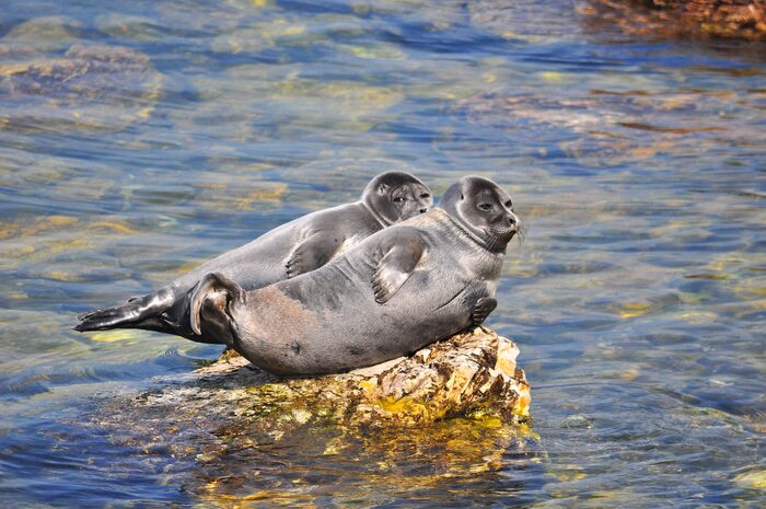 -А у нас выходной, отдыхаем