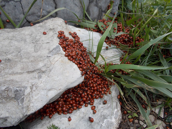       ,   ,  .  ,   ,      ,   .