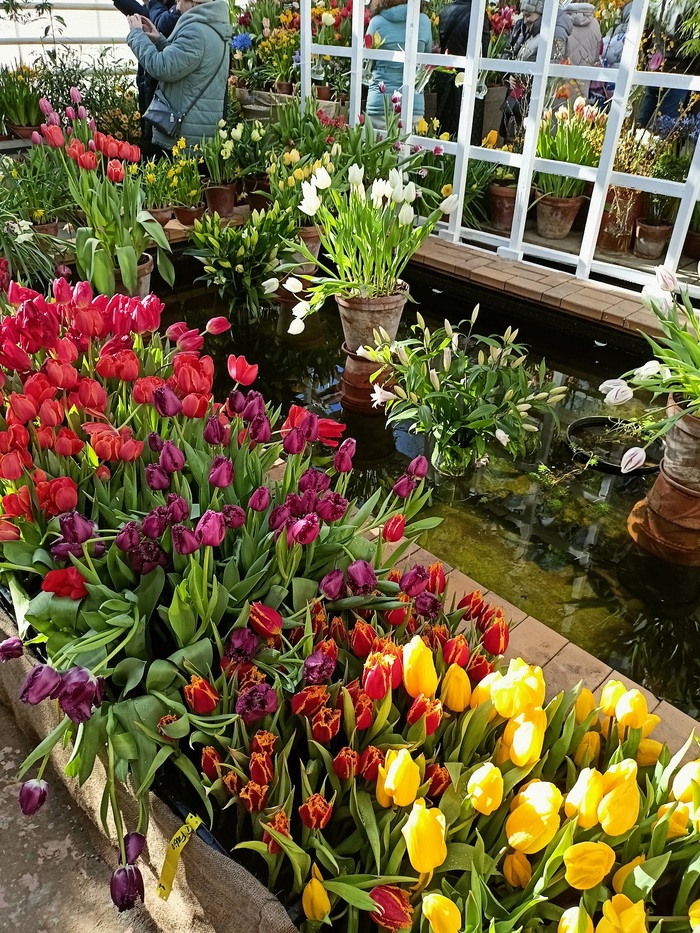 аптекарский огород