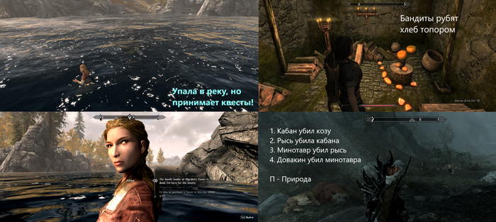 Я стал свидетелем всей цепочки событий с четвертого кадра. Почувствуй себя "В мире животных".