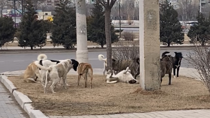 �������� �� ������ 