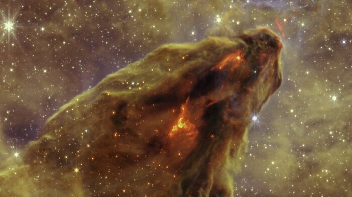 Внутри темных скоплений пыли рождаются молодые звезды