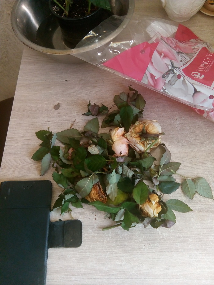 ��� ������� ������� � �� ���������.